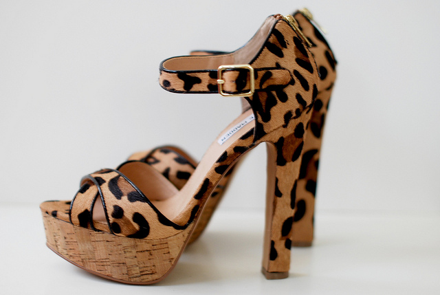 Leopard